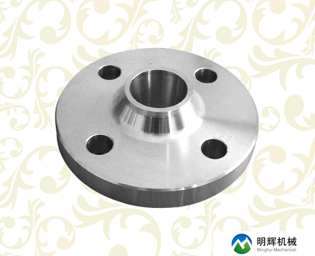 Stainless steel flanges